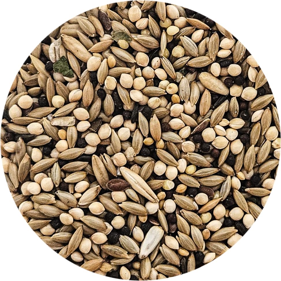 Sweet Harvest methode-vitamines-exclusive: apport équilibré pour la vitalité des oiseaux.