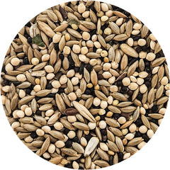Sweet Harvest methode-vitamines-exclusive: apport équilibré pour la vitalité des oiseaux.