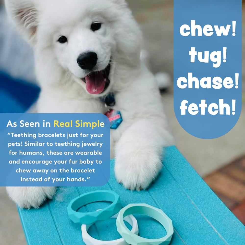 Sweet Paws idéal cadeau chiot pour fêtes et vacances