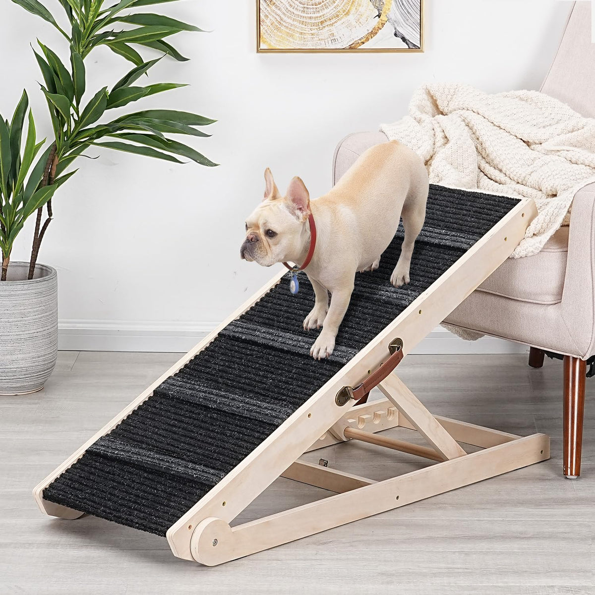SweetBin rampe chien lit pliable facilite l’accès au lit.