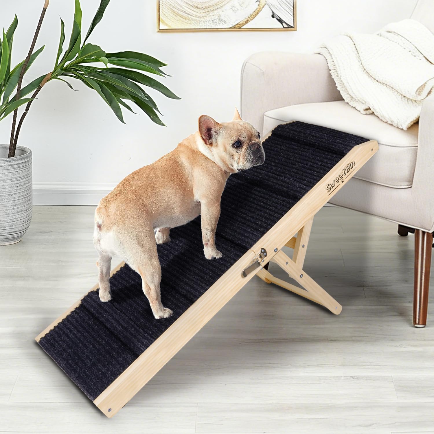 SweetBin rampe chien lit pliable, facilité d’accès au lit