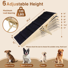 SweetBin rampe chien surface antidérapante pour traction fiable