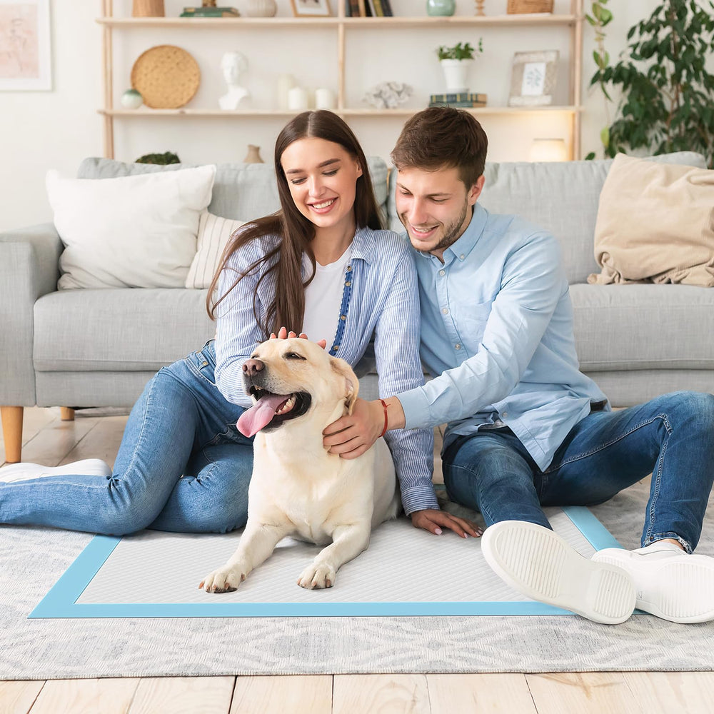 Sweetcrispy tapis-pipi chiots anti-fuites facilitant le nettoyage.