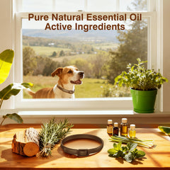 SweetEcho flacon huiles essentielles naturelles montrant les huiles du produit