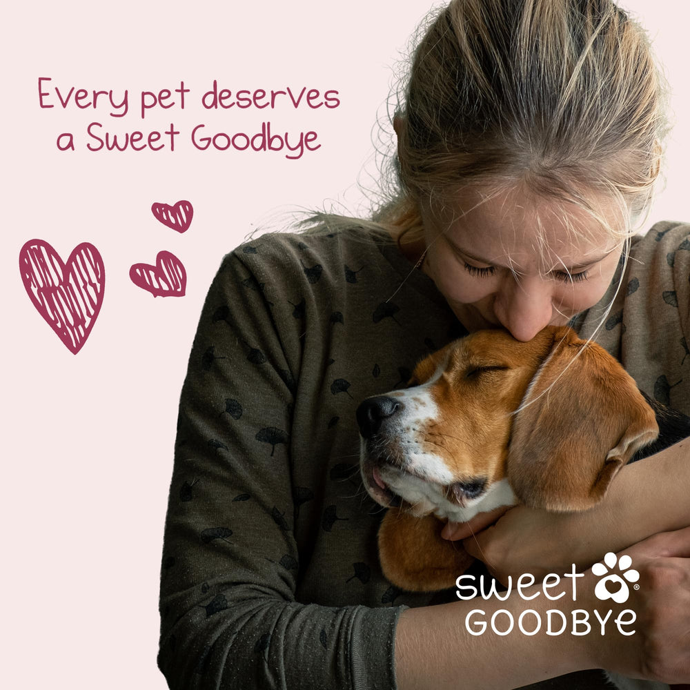 Sweet Goodbye Cocoon – Couleur et texture soignées pour une présentation apaisante.