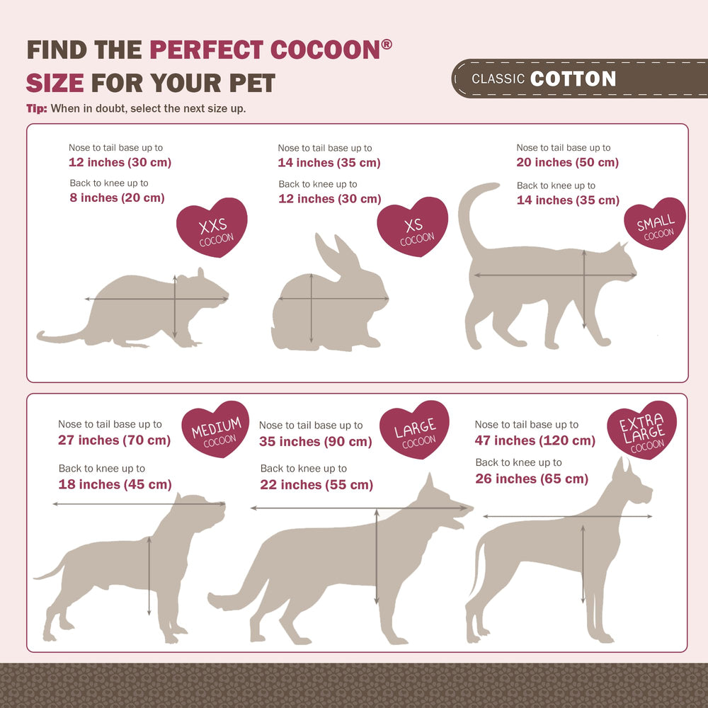 Sweet Goodbye Cocoon: guide-ceremonie-personnalisee pour créer un hommage unique.