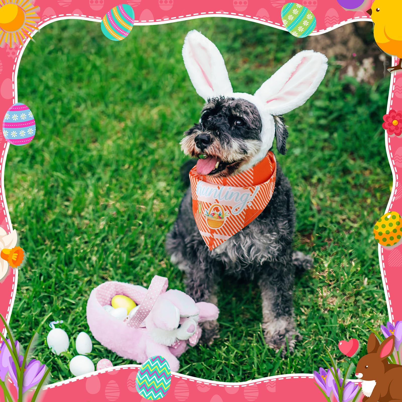 Bandanas Sweetude avec 3 façons de porter, pour varier les looks canins et félins.