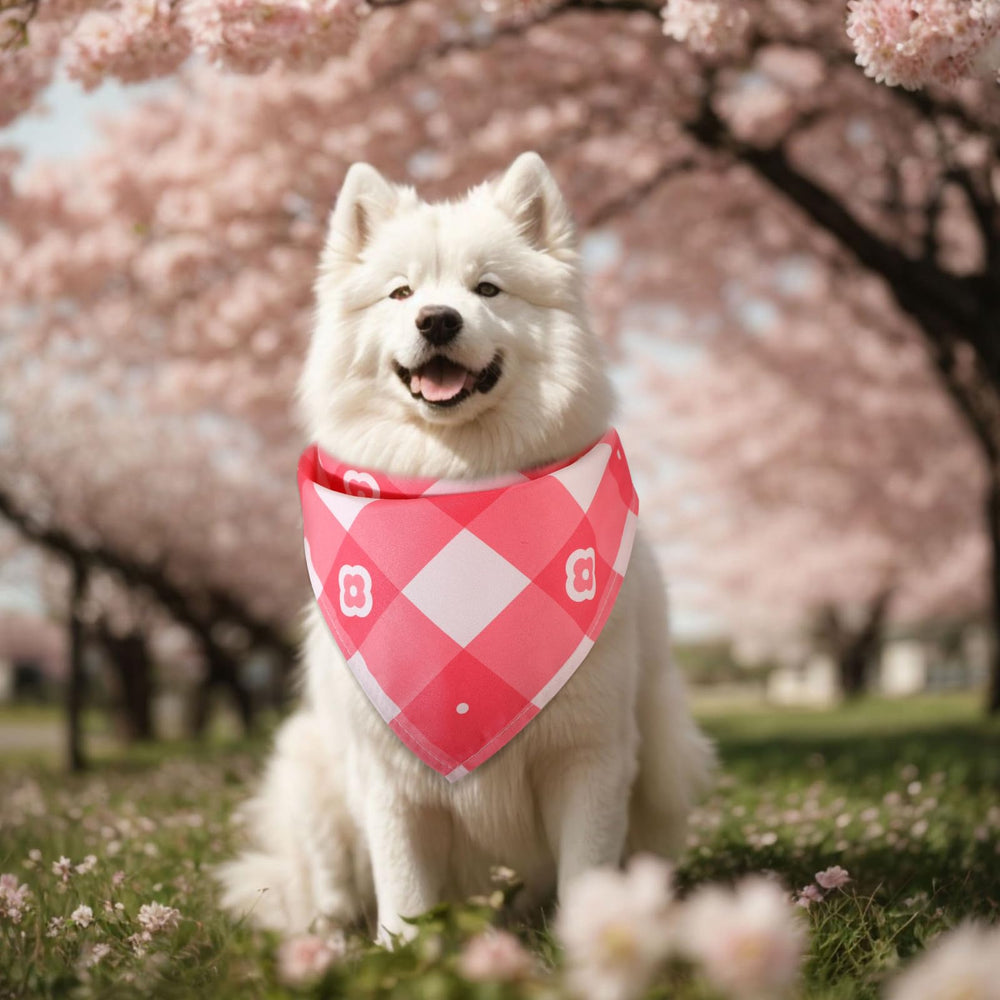 Bandanas Sweetude cadeau idéal pour propriétaires d’animaux