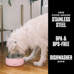 S'well bol chien base anti-dérapante, stabilité accrue lors des repas.
