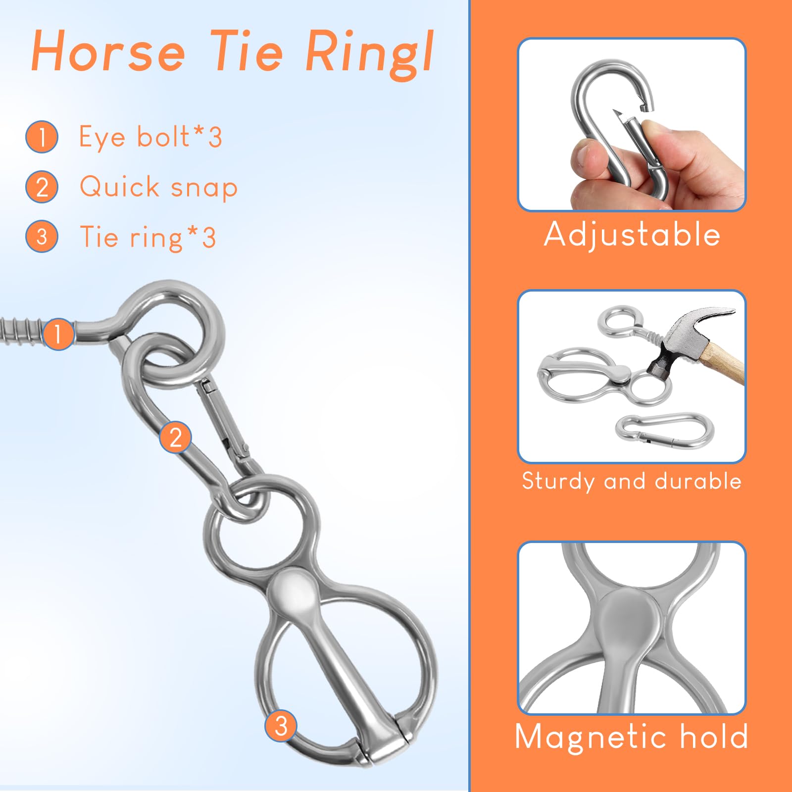 Swess équipement sûr et pratique pour l'entraînement cheval.