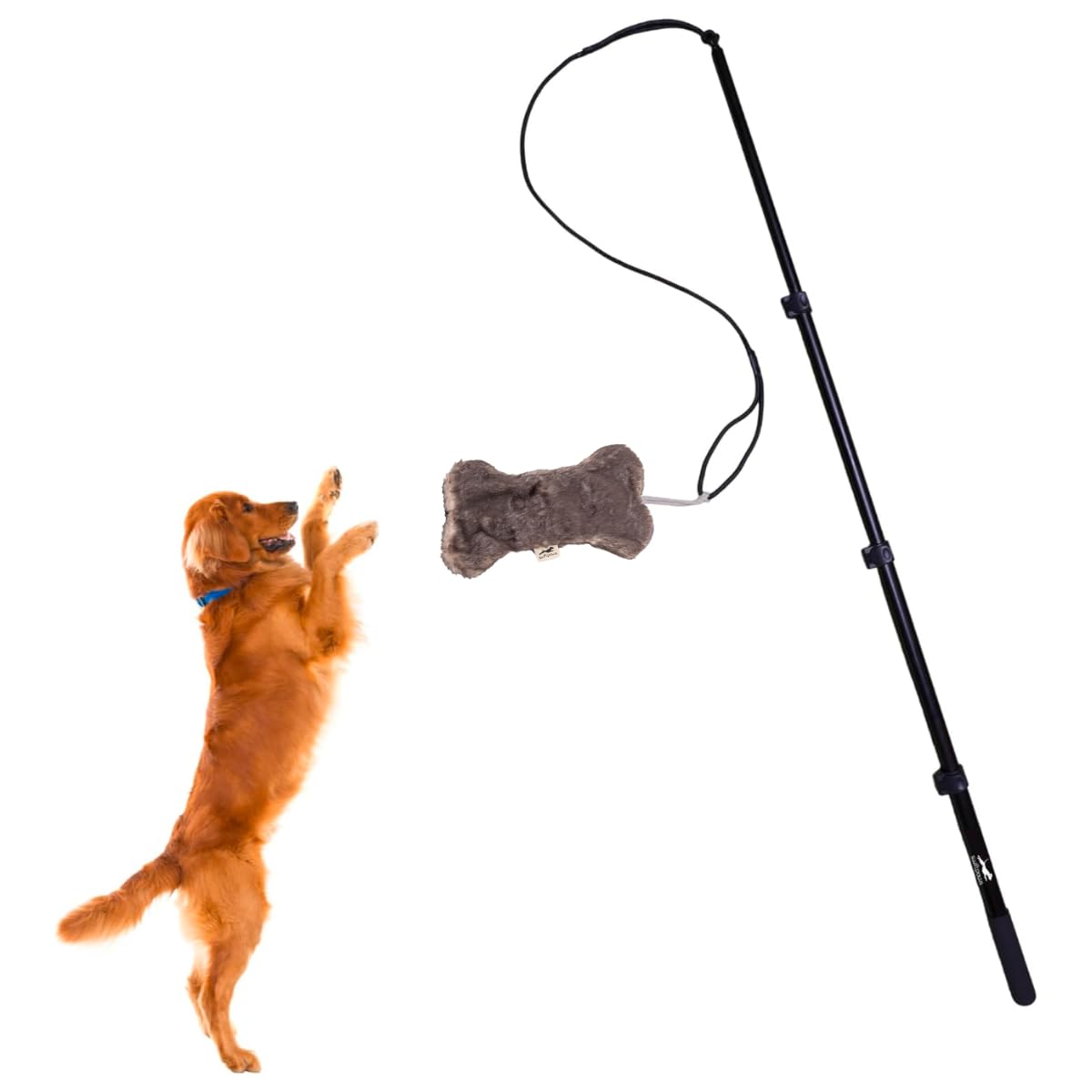 SwiftPaws Flirt Pole extension 48po: entraînement dynamique en intérieur ou en extérieur.