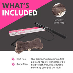 SwiftPaws Flirt Pole structure aluminium: durabilité et stabilité pendant les sessions.