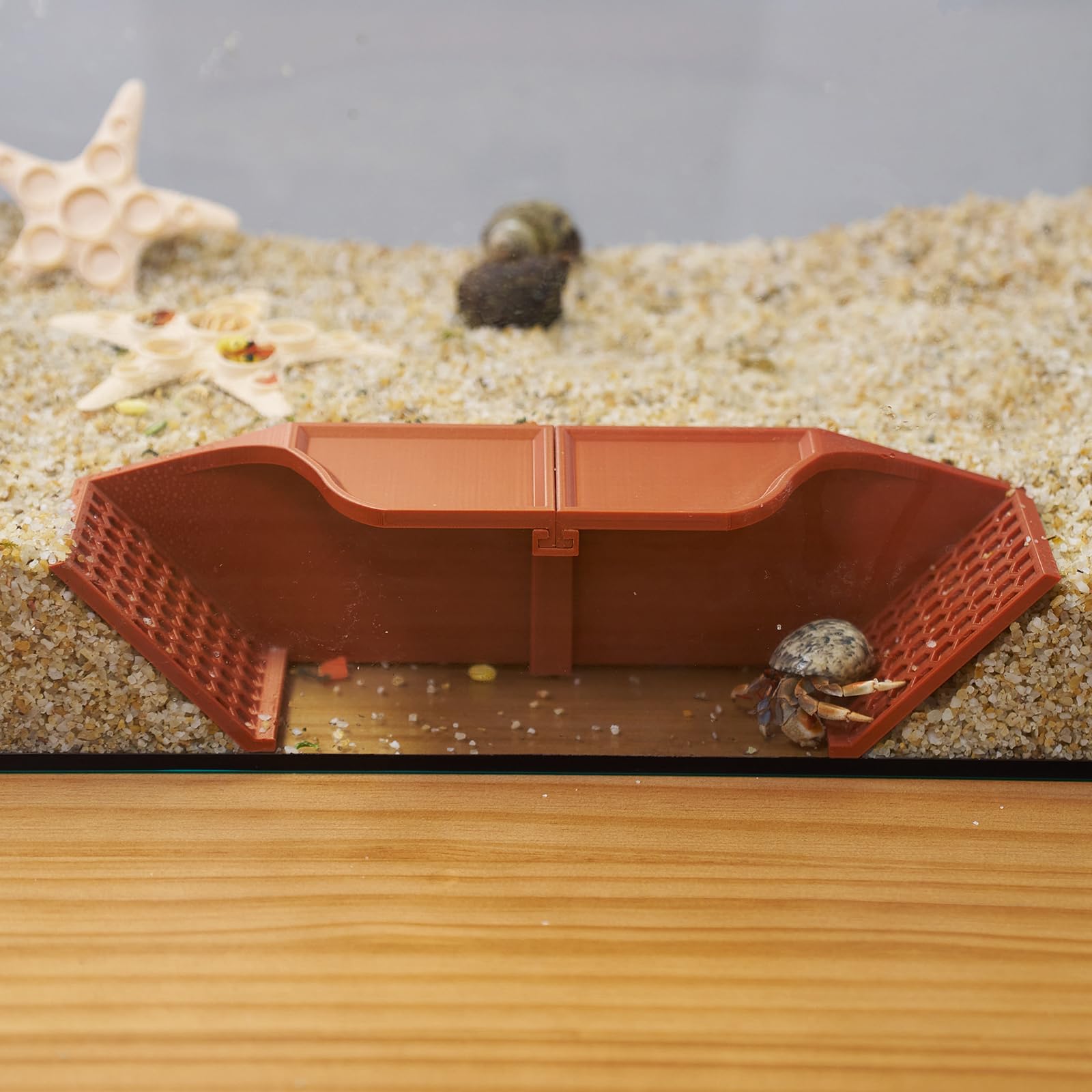 Swirge crabe ermite gamelle nourriture intégrée pour alimentation pratique.