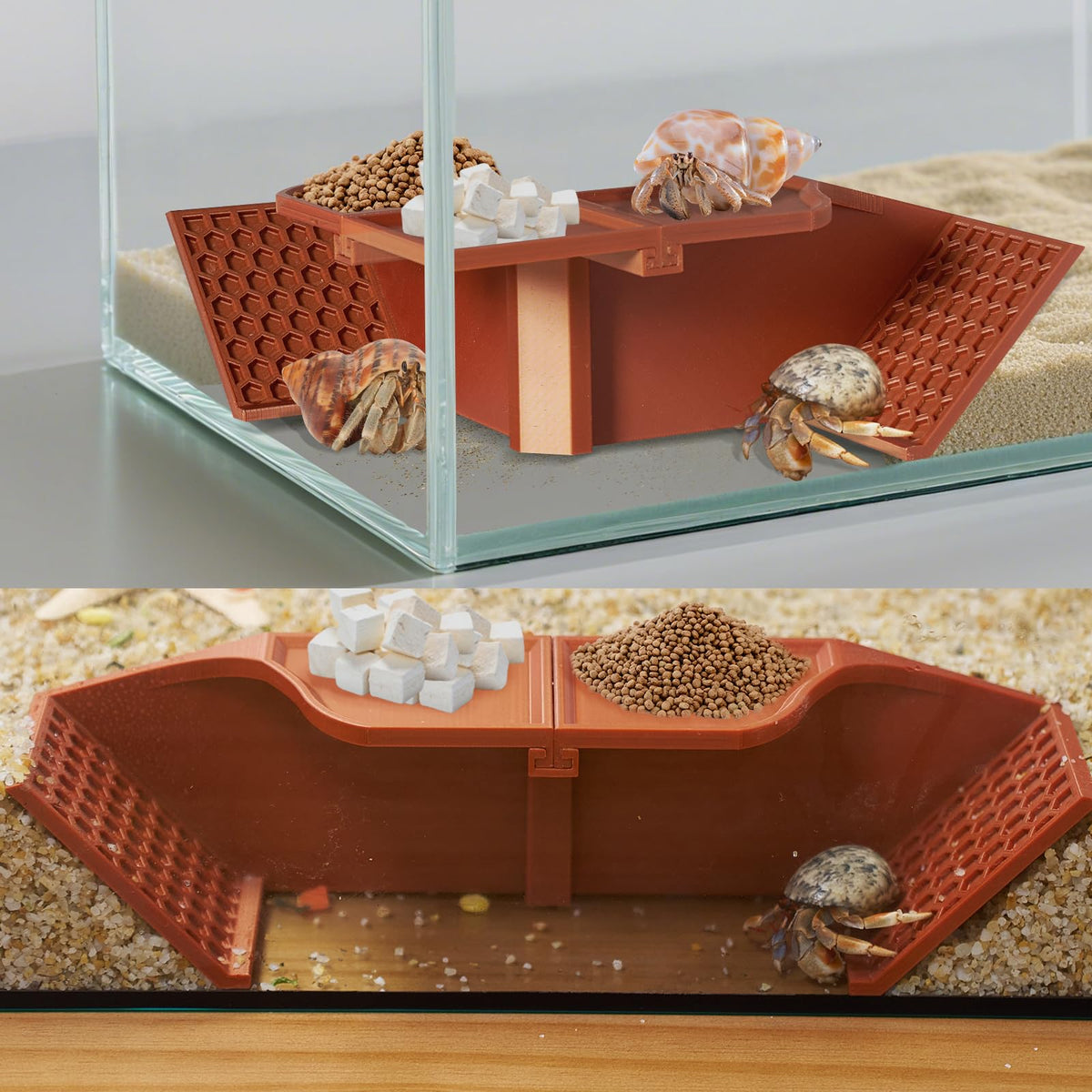 Swirge crabe ermite refuge souterrain avec grotte 3 en 1 pour observation facile.