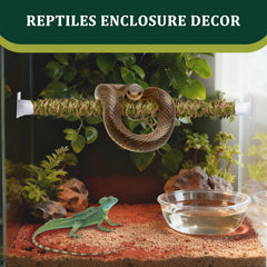 Swirge décoration-vigne-serpent apporte touche jungle et naturel