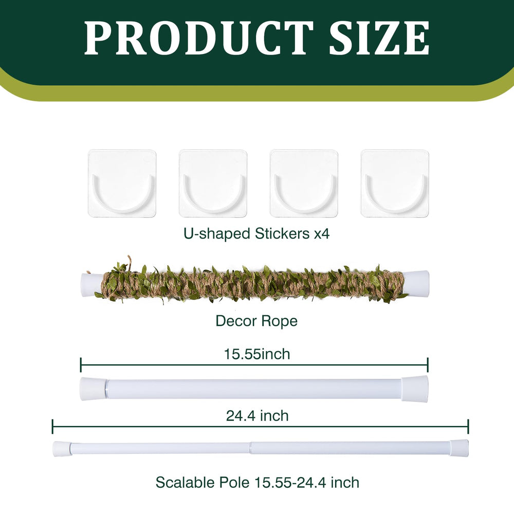 Swirge support-antiderapant assure fixation stable dans terrarium