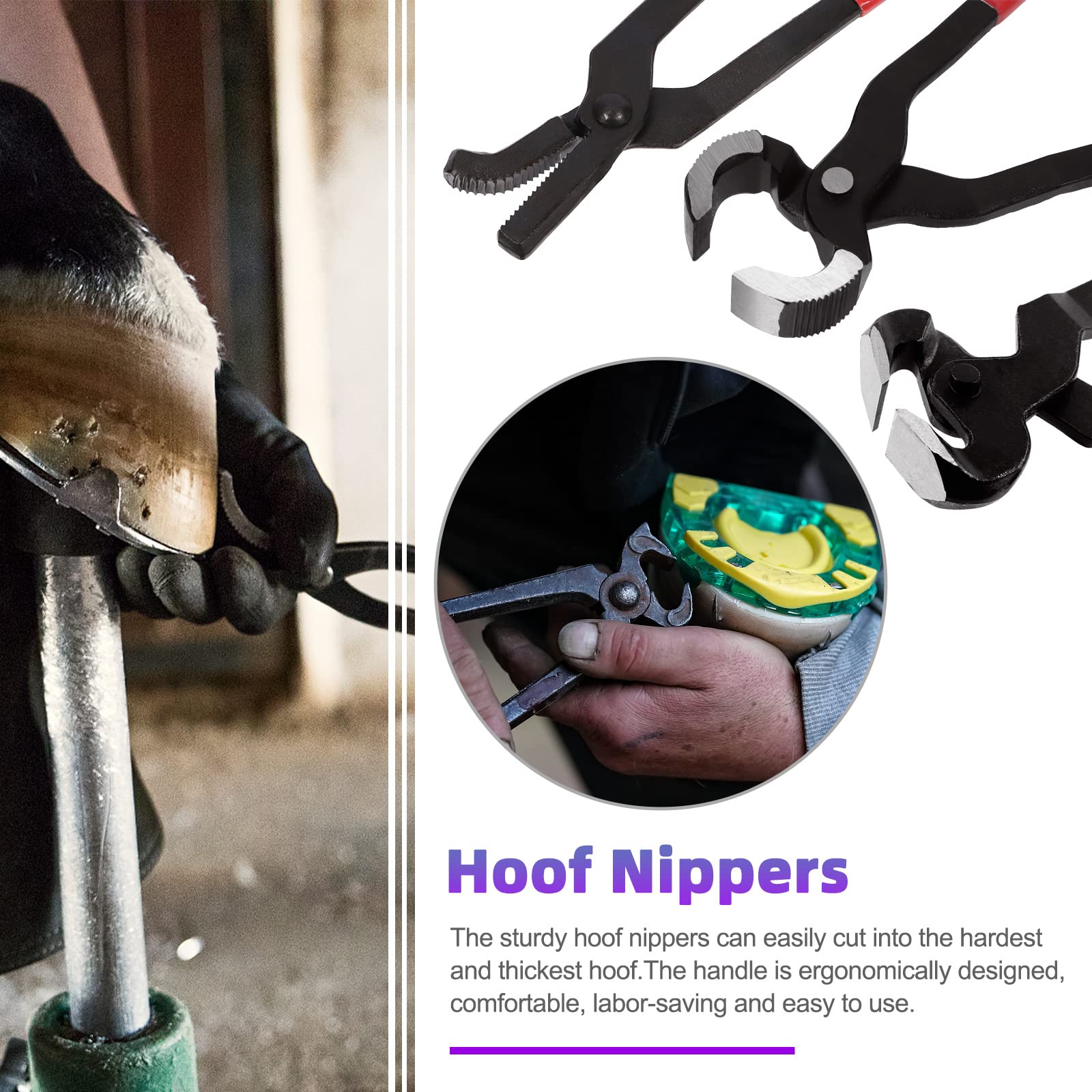 Swpeet brosse fer cheval, nettoyage rapide du sabot