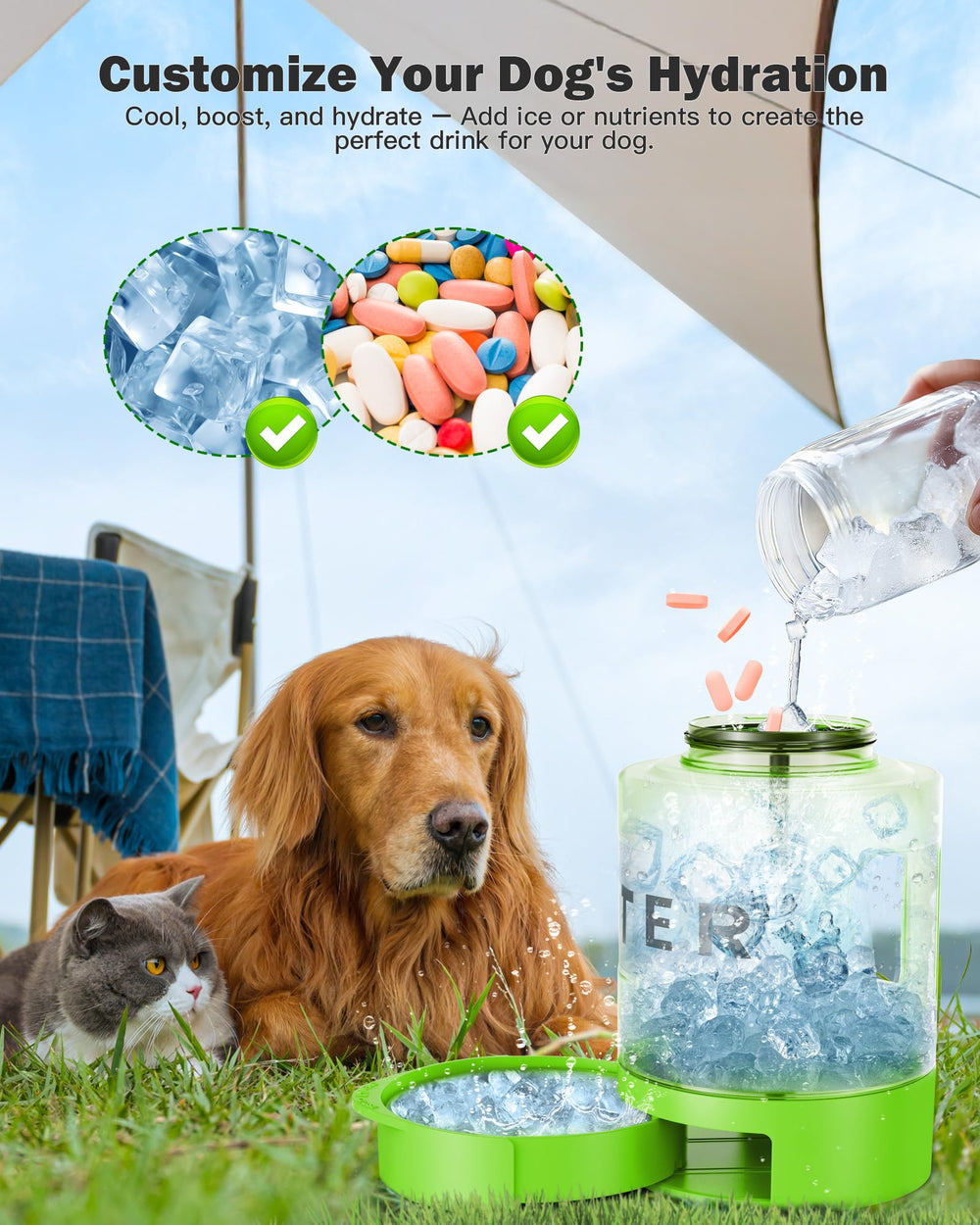 Usage en voyage et plage avec SwSun pour chien actif.