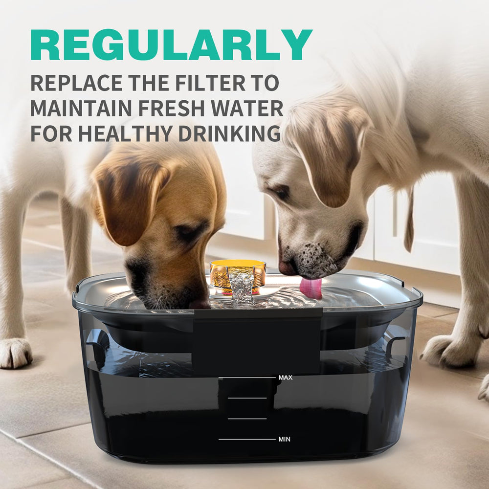 SwSun filtre sans BPA: sécurité pour l eau quotidienne.