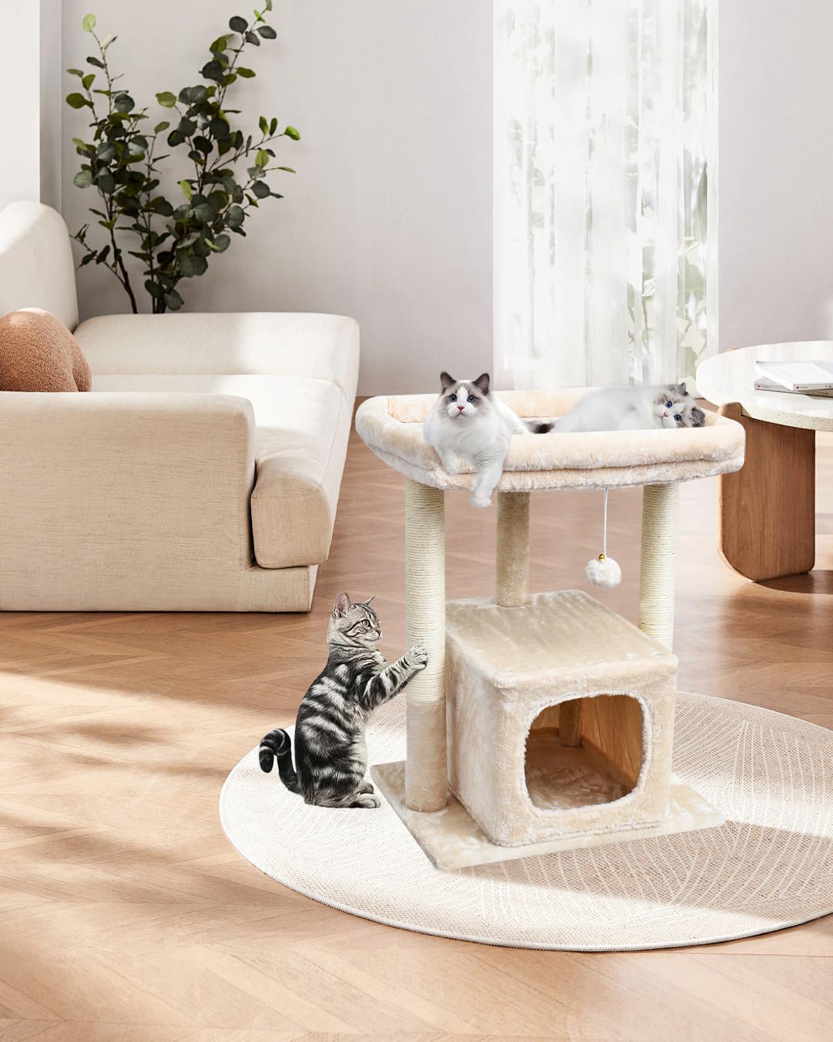SYANDLVY meuble-chat compact idéal pour petits espaces.