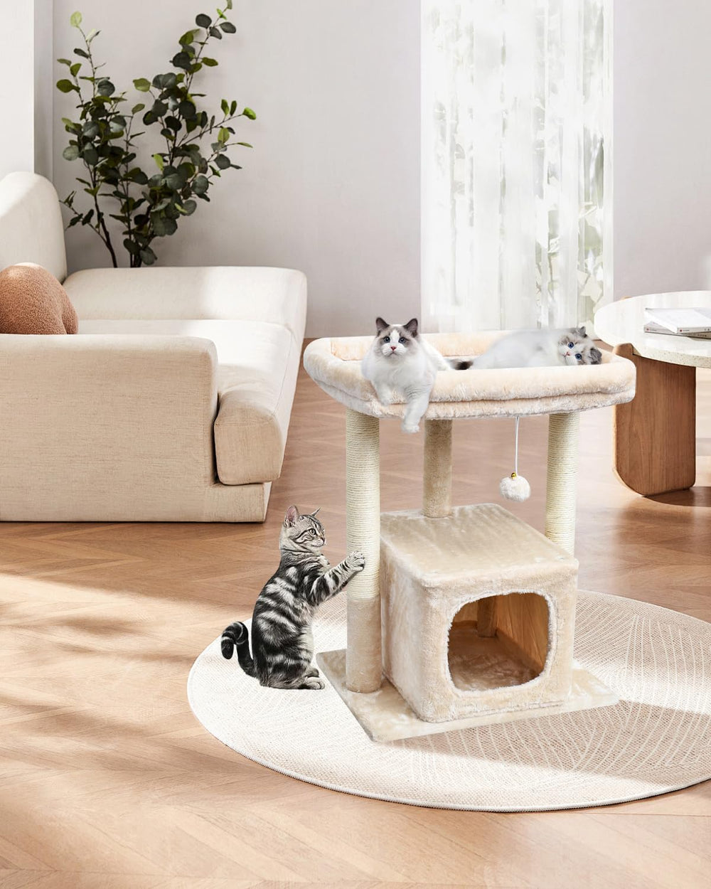 SYANDLVY meuble-chat compact idéal pour petits espaces.