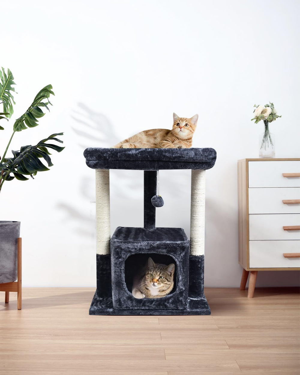SYANDLVY Arbre à chat – boule ressort pour stimuler le jeu et l’exercice.