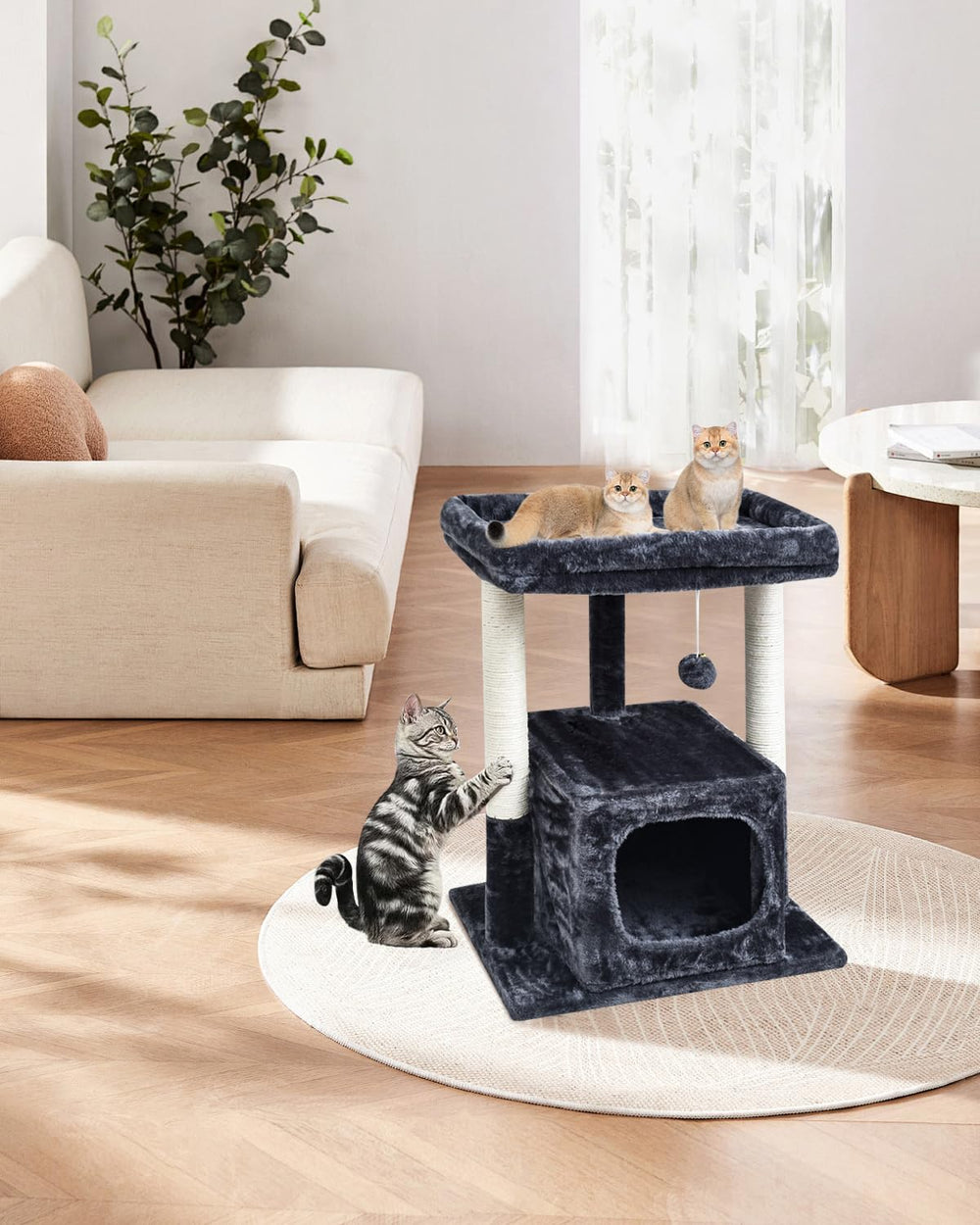 SYANDLVY Arbre à chat – design moderne gris fumé s’intégrant facilement.