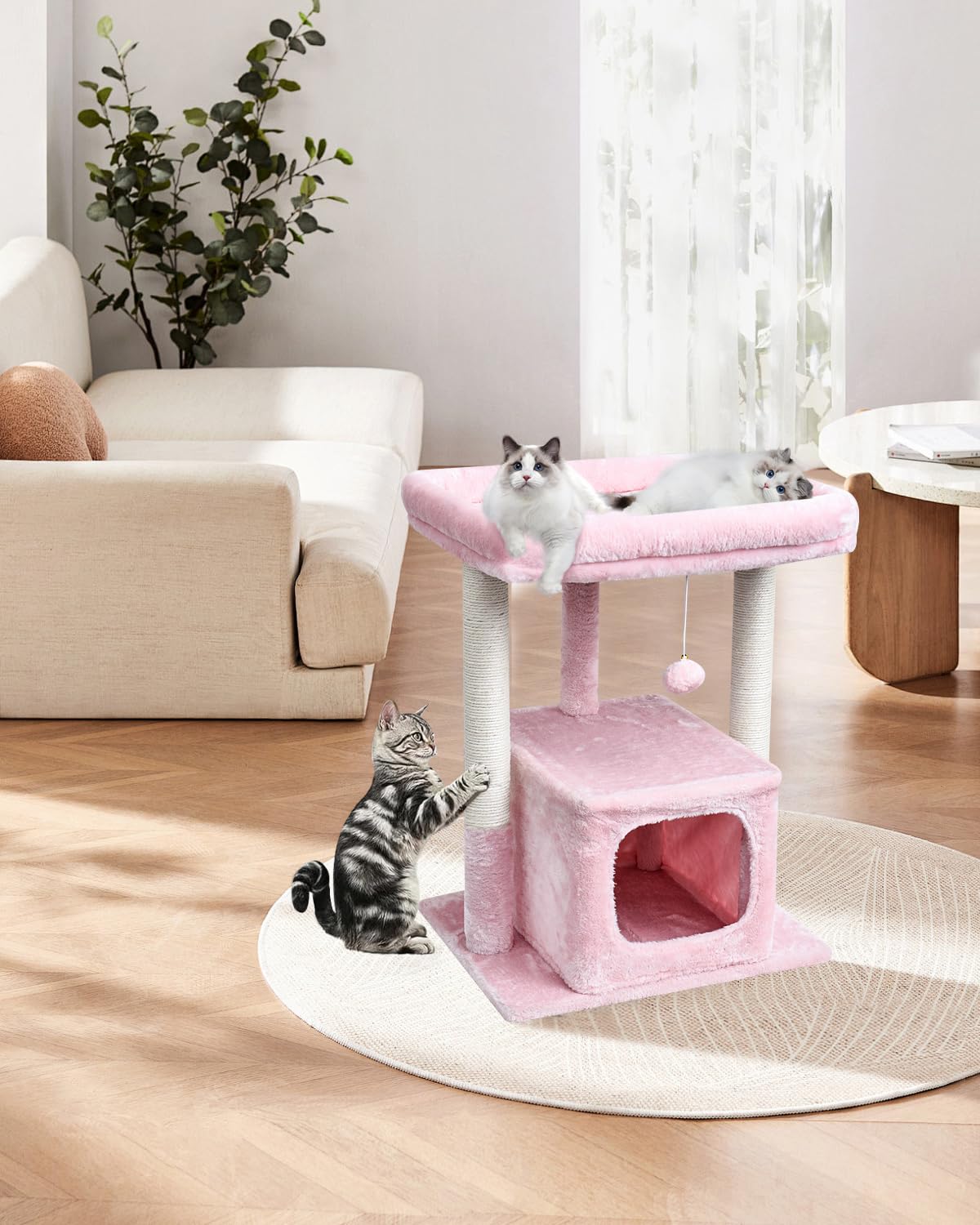 SYANDLVY caverne chat rose refuge douillet pour sieste.