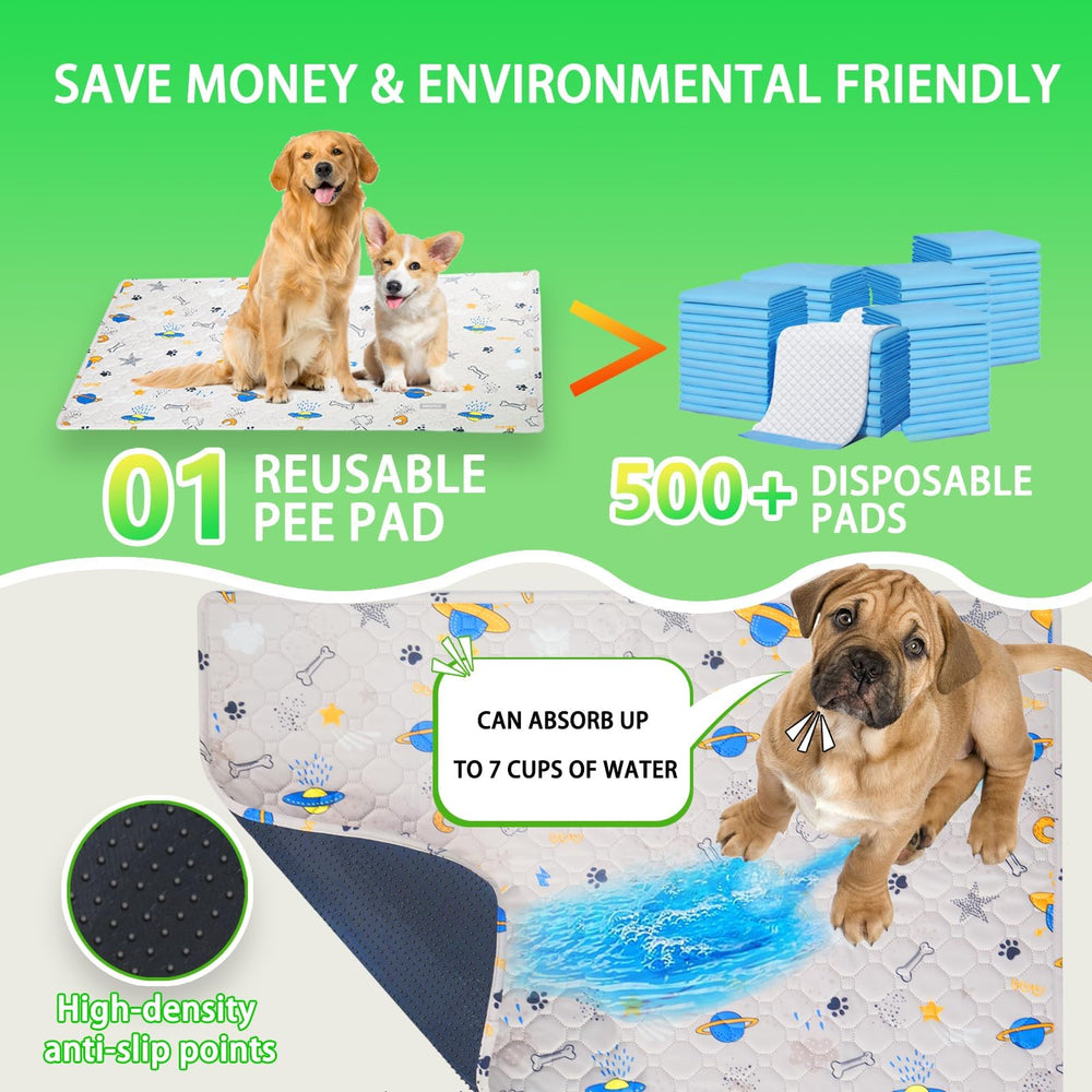 SyFatWeen Dog Loo – bac de récupération facile à vider.