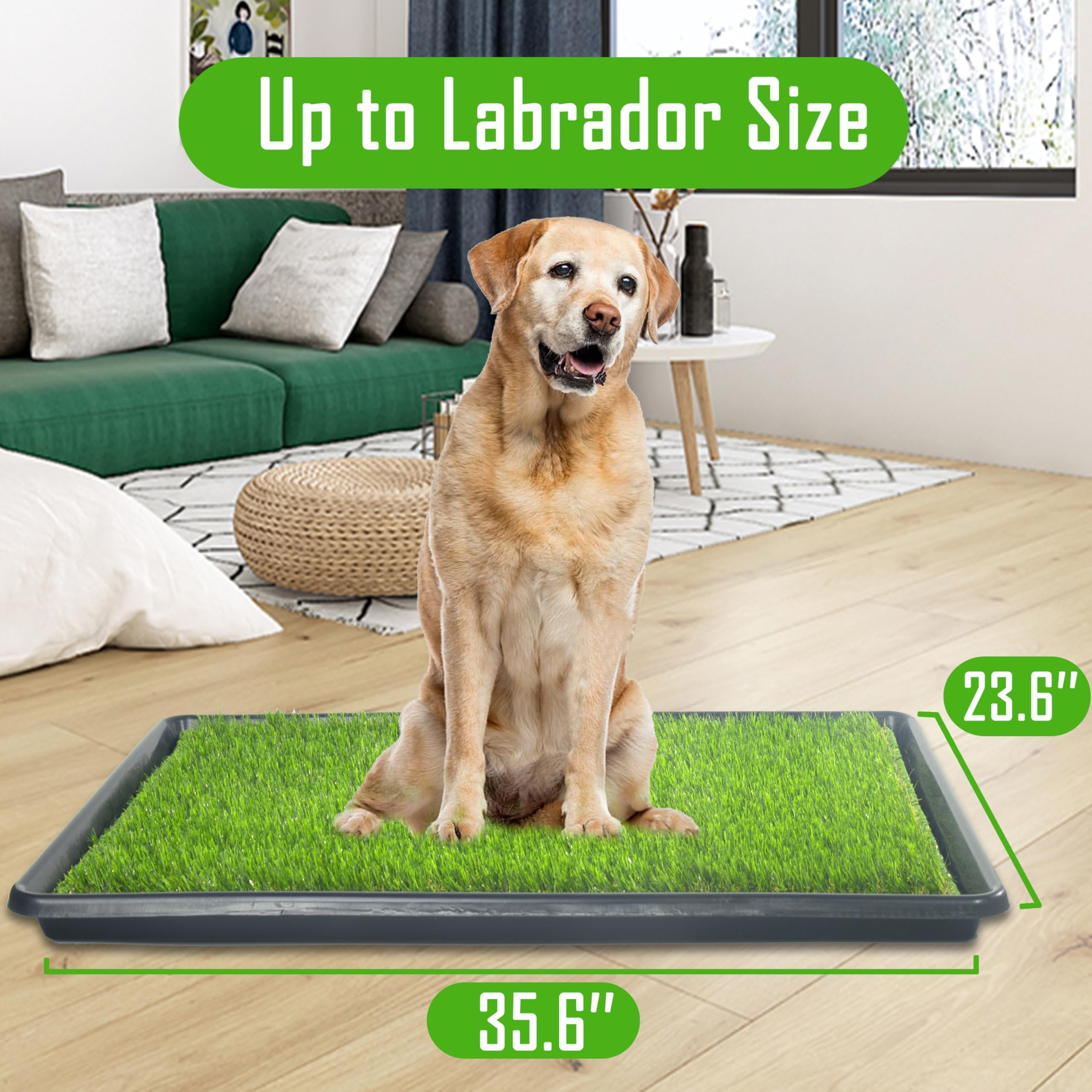 SyFatWeen Dog Loo – kit complet pour l’apprentissage de la propreté des chiens.