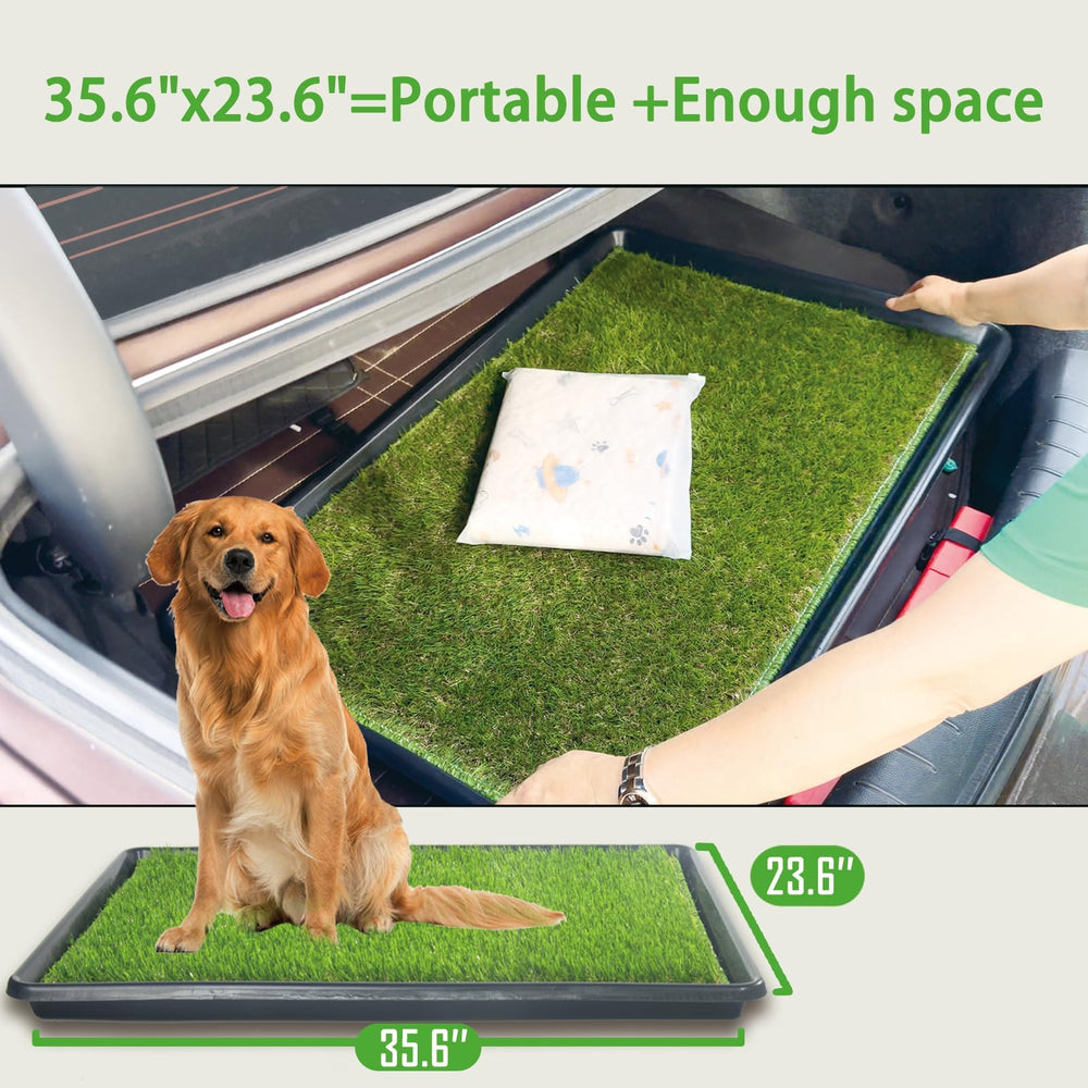 SyFatWeen Dog Loo – système portable et léger pour déplacements.