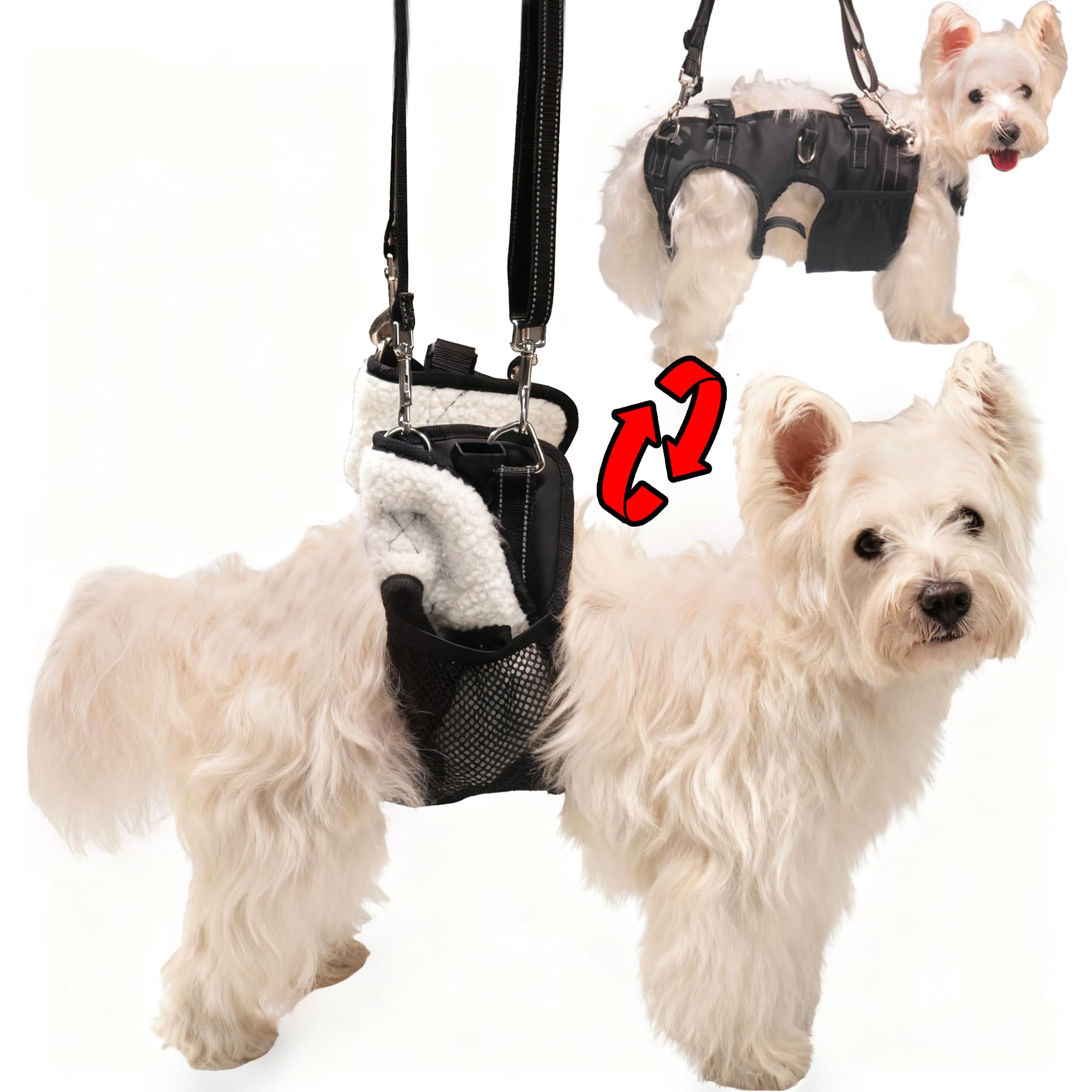 SyFatWeen harnais levage chien, soutien efficace pour les pattes arrière lors des exercices.