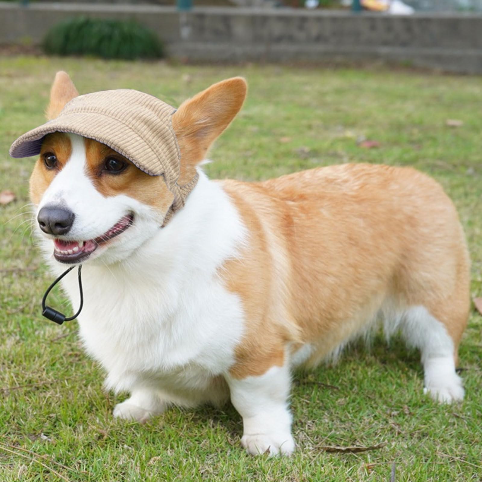 Chapeau Symphonyw chien activités plein air: idéal pour promenades et voyages