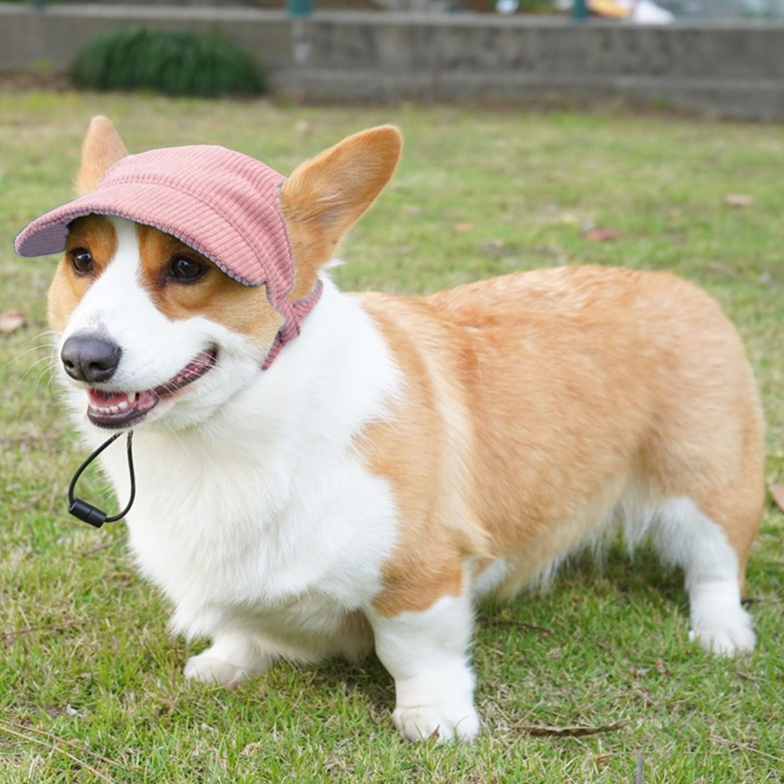 Symphonyw chapeau chien exterieur – idéal pour promenade et jeux.