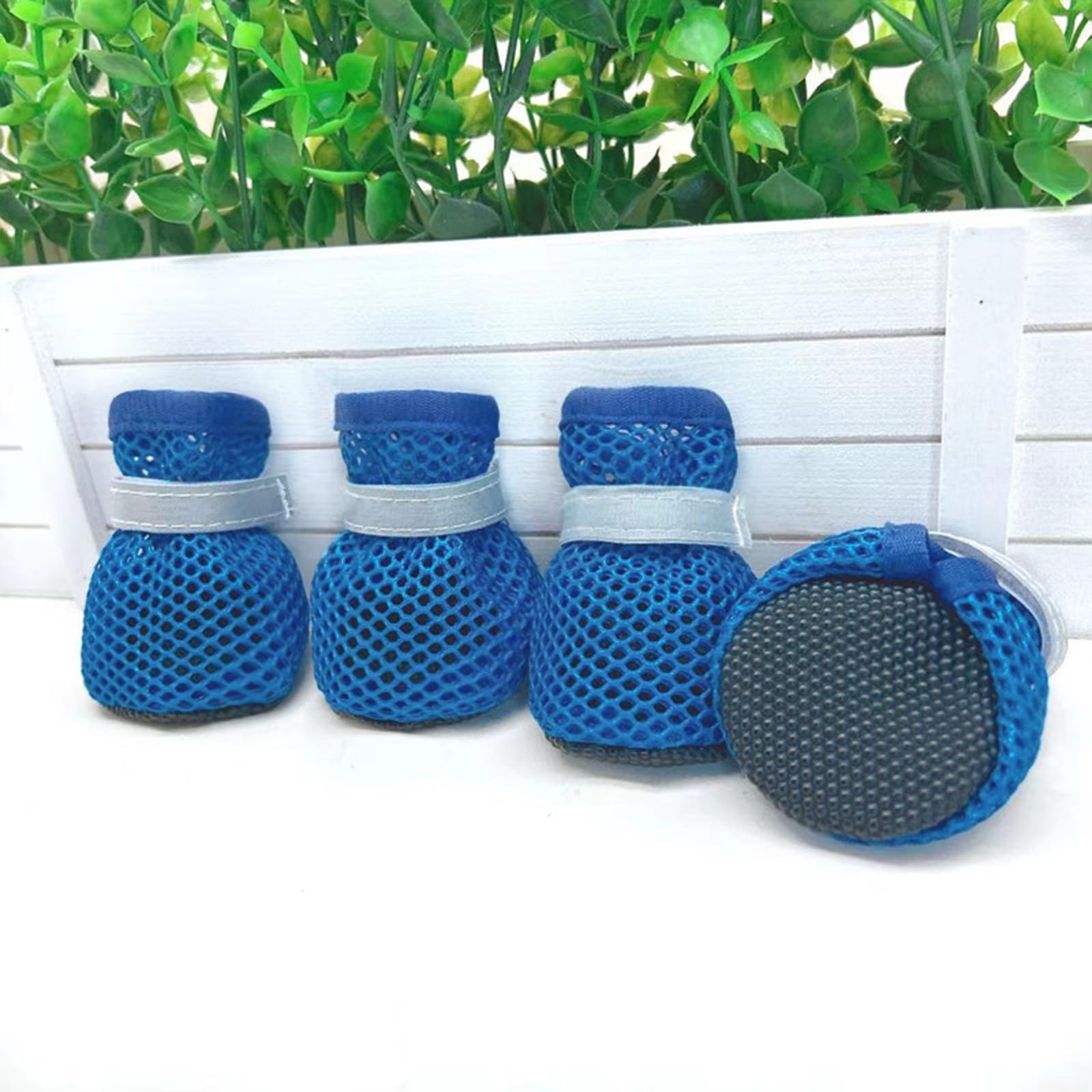 Utilisation intérieure et extérieure des chaussures Symphonyw pour chien.