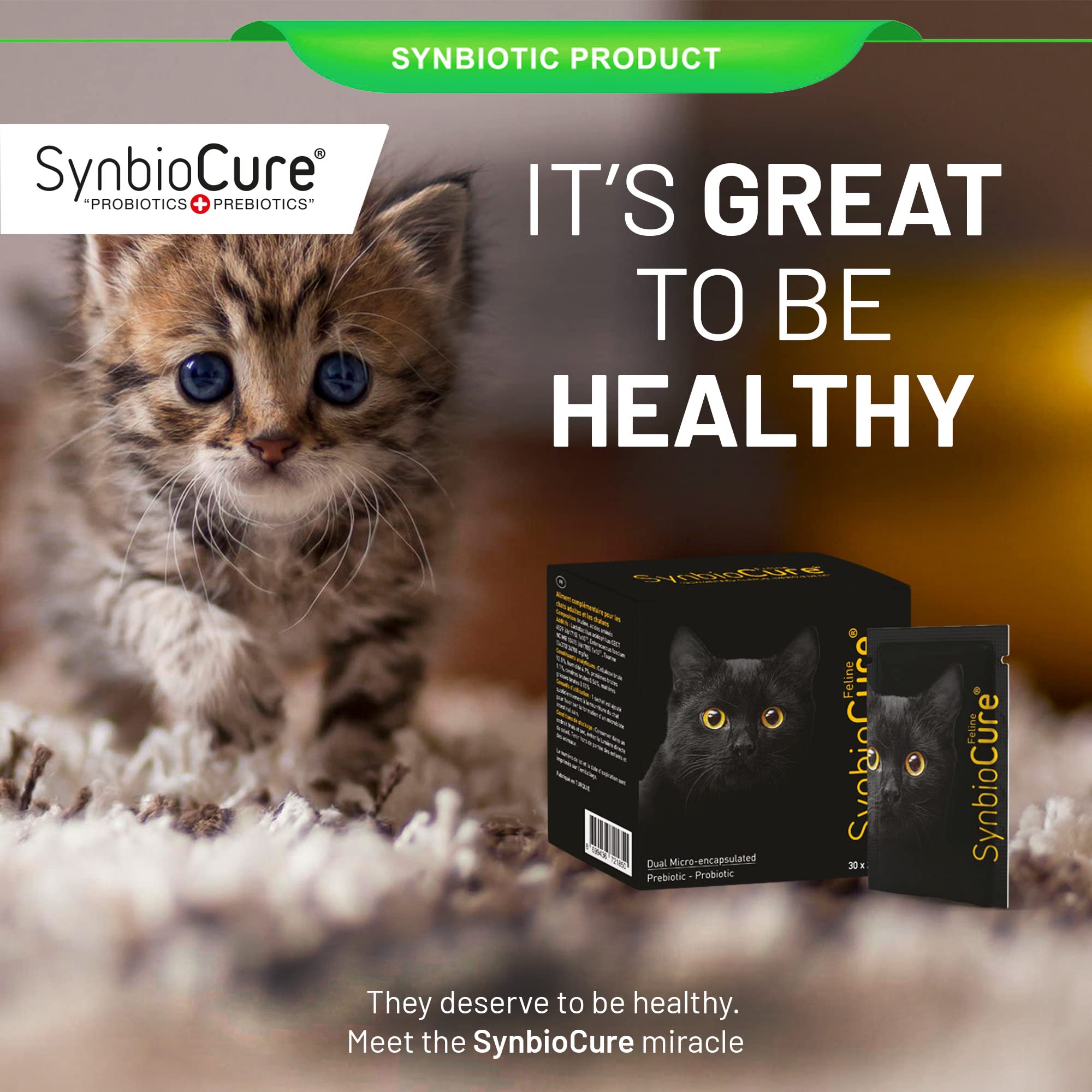 SynbioCure chat: utilisation quotidienne pour un équilibre digestif et immunitaire
