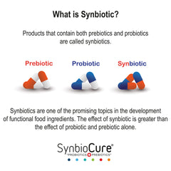 SynbioCure pro biotiques 200 milliards pour le bien être intestinal du chat