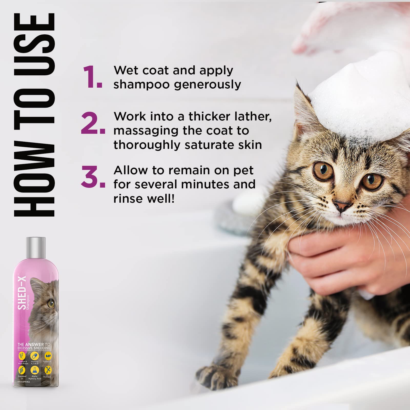 Shampoing Shed-X chat: parfum gingembre blanc et nectarine laissant le chat frais.