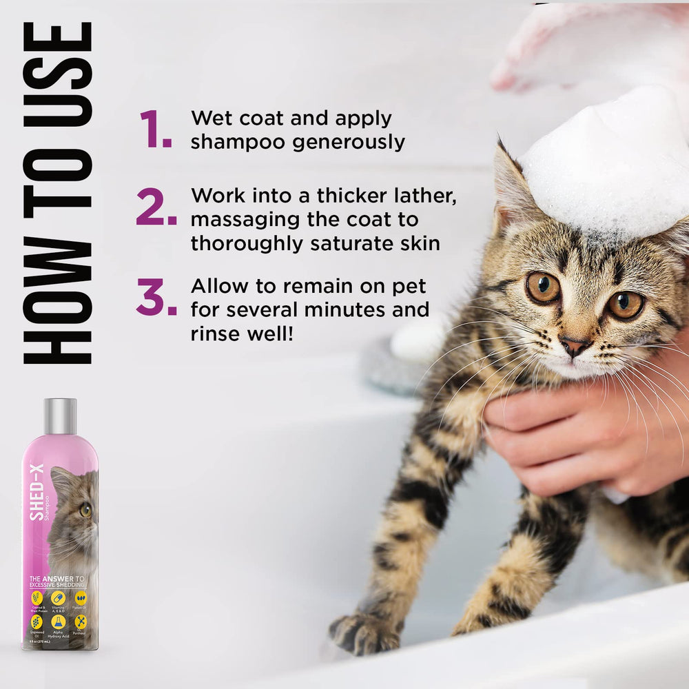 Shampoing Shed-X chat: parfum gingembre blanc et nectarine laissant le chat frais.