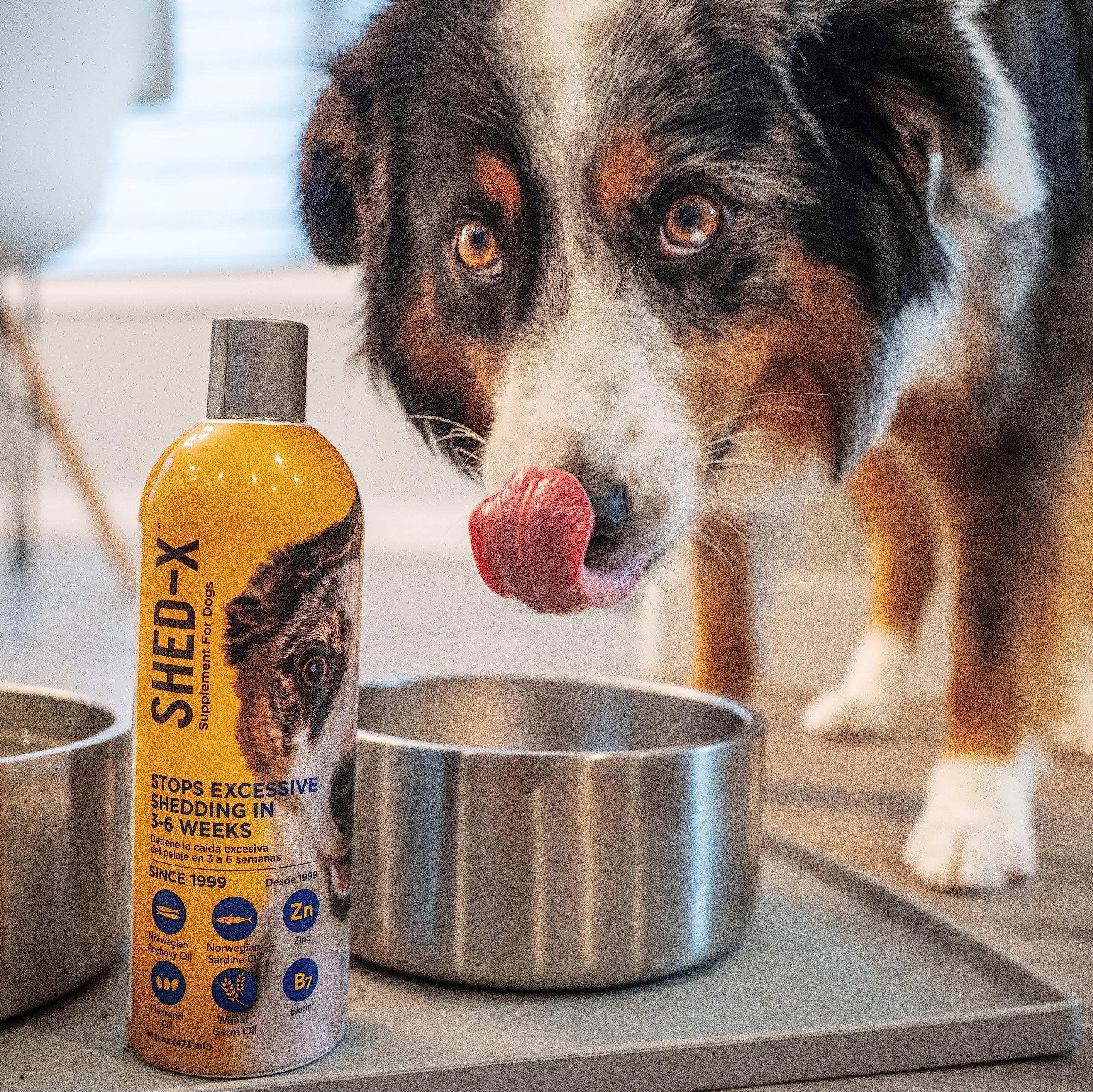 Shed-X gouttes-doseur-chien pour dosage simple et pratique.