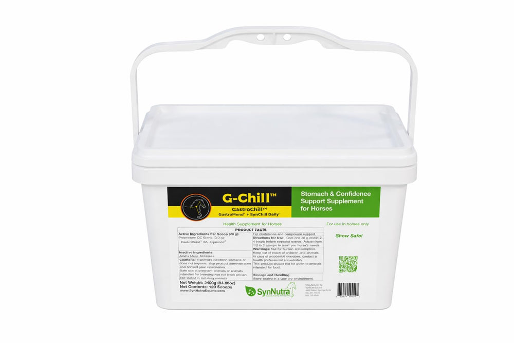 G-Chill de SynNutra Equine — bouteille montrant soutien digestif et calme pendant l'entraînement.