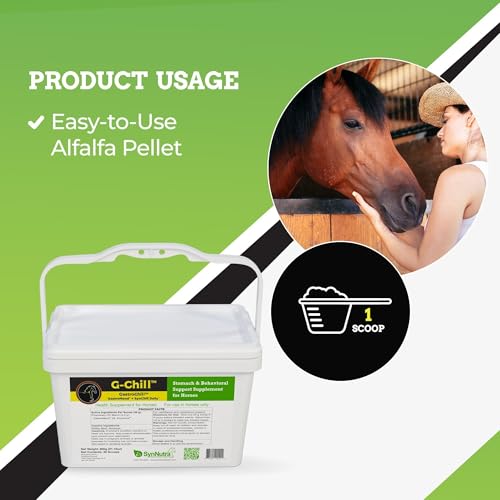 G-Chill de SynNutra Equine — doseur-poudre facilitant l'administration quotidienne.