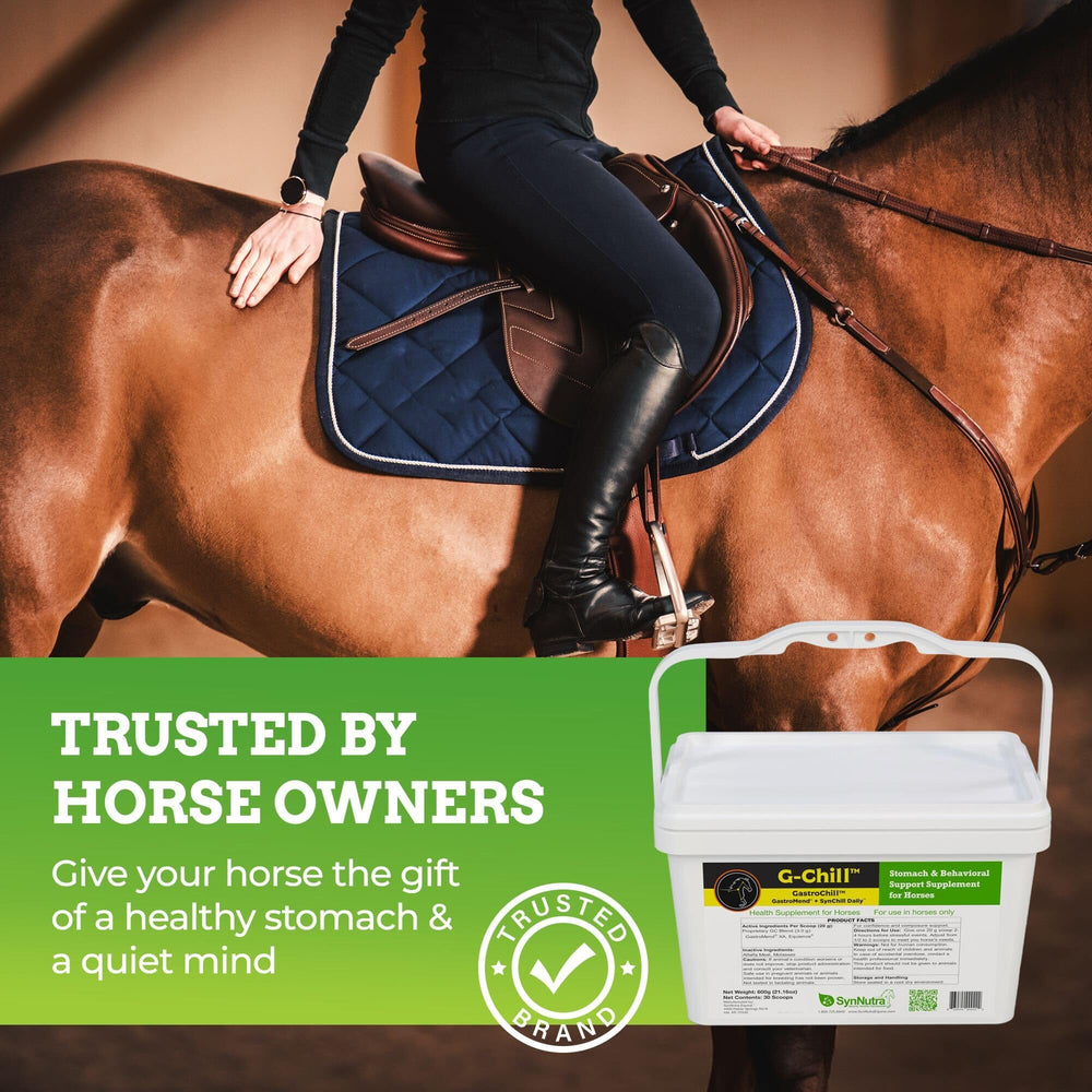 G-Chill de SynNutra Equine — emballage frontal évoquant GastroMend et SynChill pour chevaux.