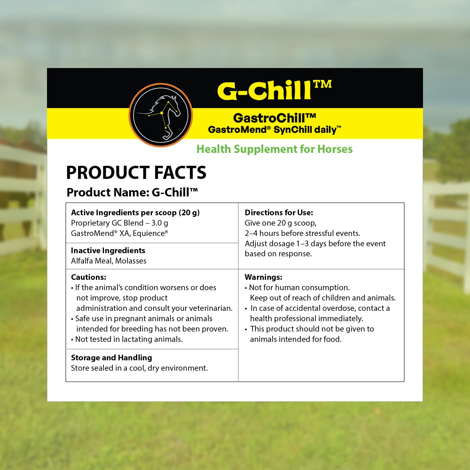 G-Chill de SynNutra Equine — usine américaine de fabrication conforme.