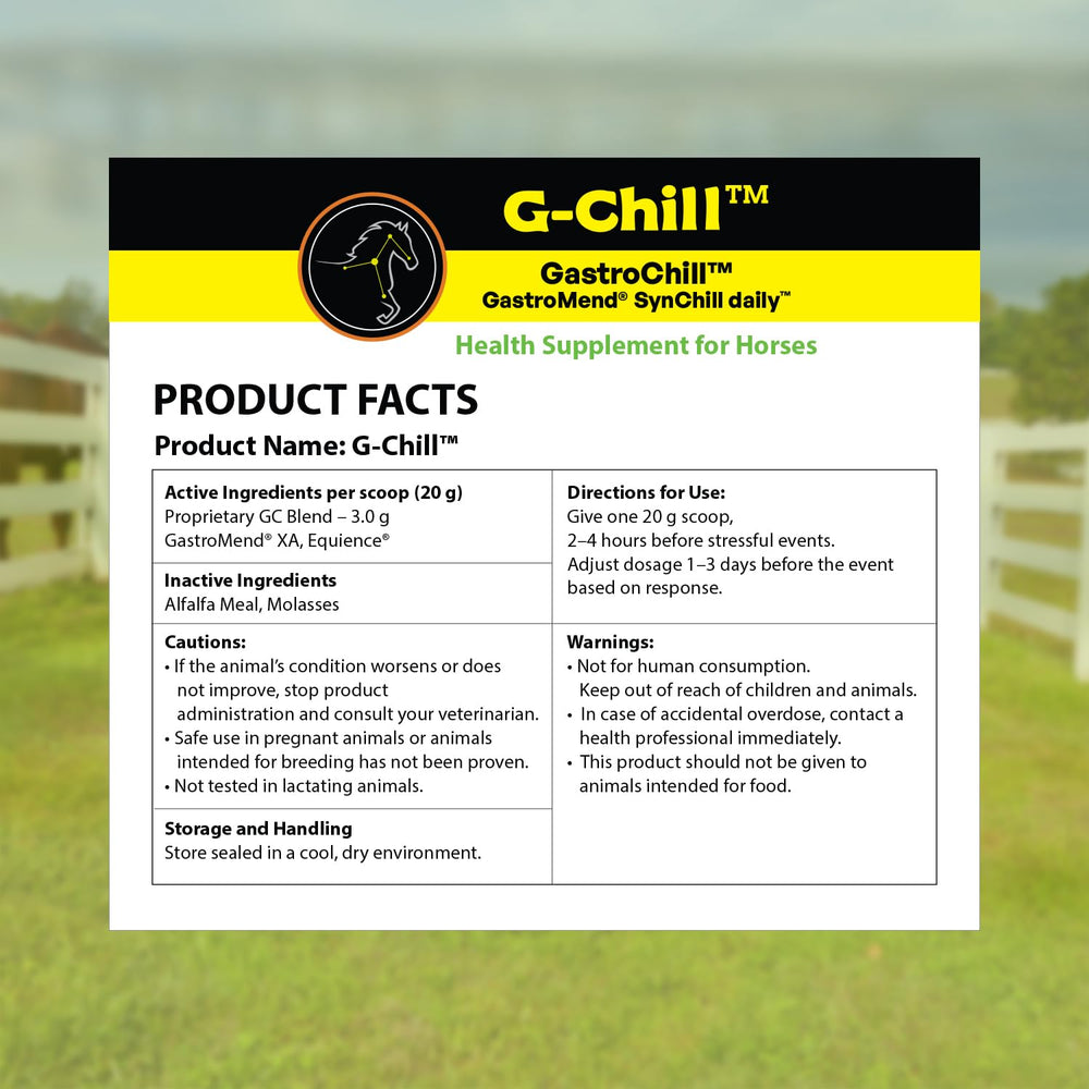 G-Chill de SynNutra Equine — usine américaine de fabrication conforme.