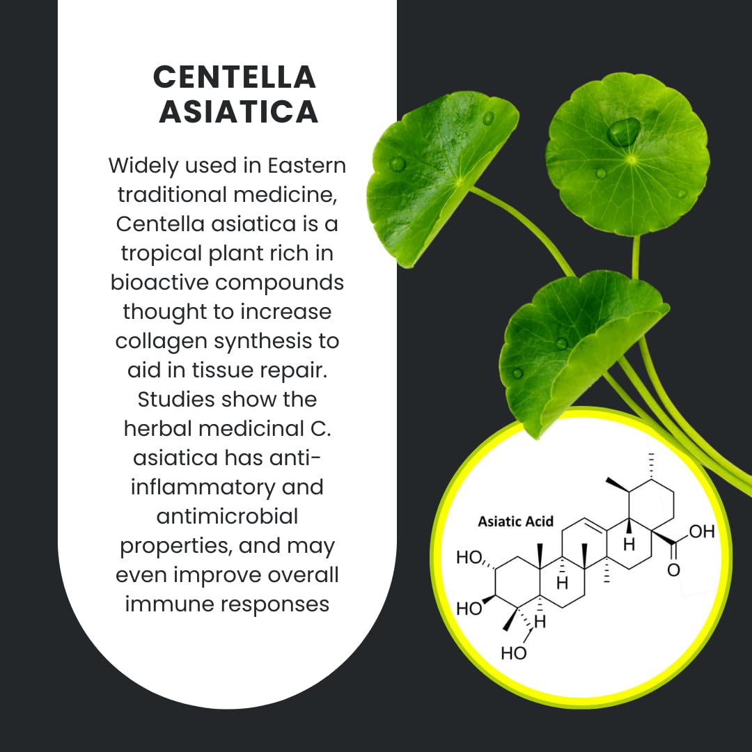 SynNutra GastroMend : cheval-digestif pour un confort gastrique pendant l'entraînement et voyages.