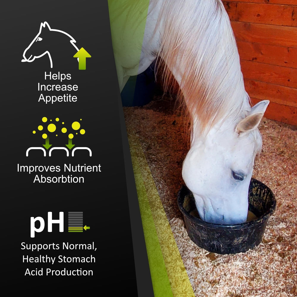 SynNutra GastroMend : utilisation-quotidienne simple à intégrer au régime journalier du cheval.