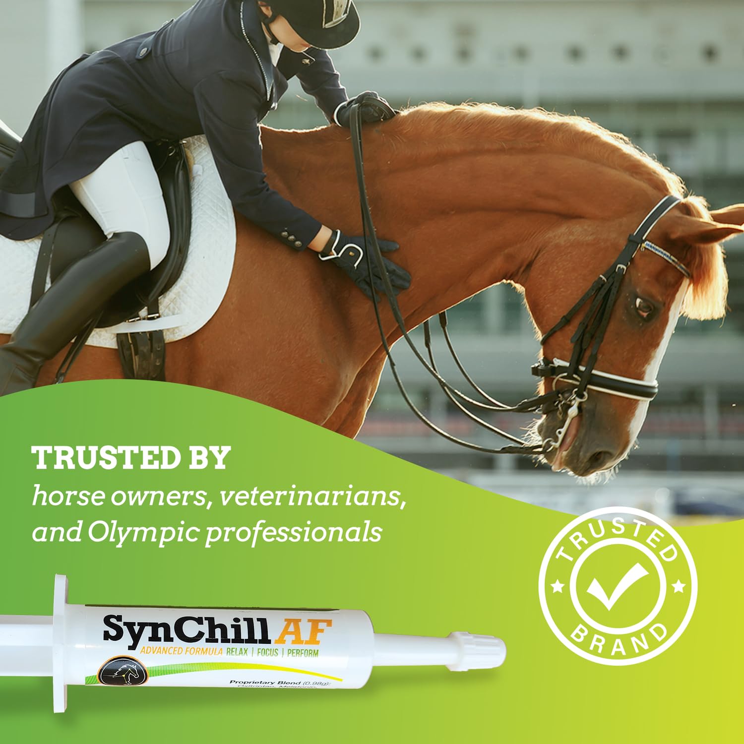 Cheval en entraînement utilisant le gel SynChill AF