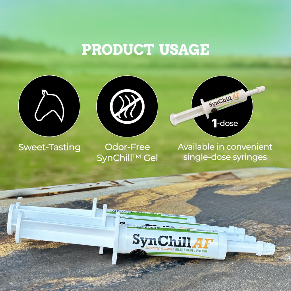Pack de deux SynChill AF pour la gestion de routine et voyages.