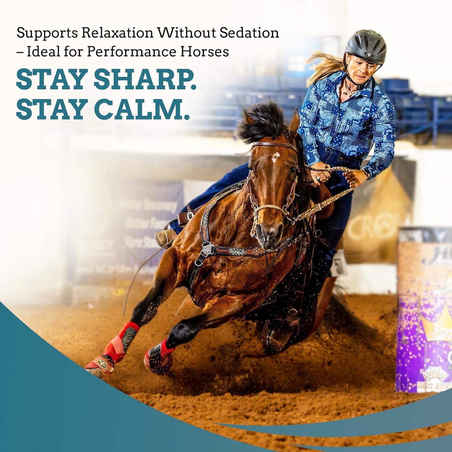SynNutra Equine SynChill Pure — packaging conforme à la compétition sans substances interdites